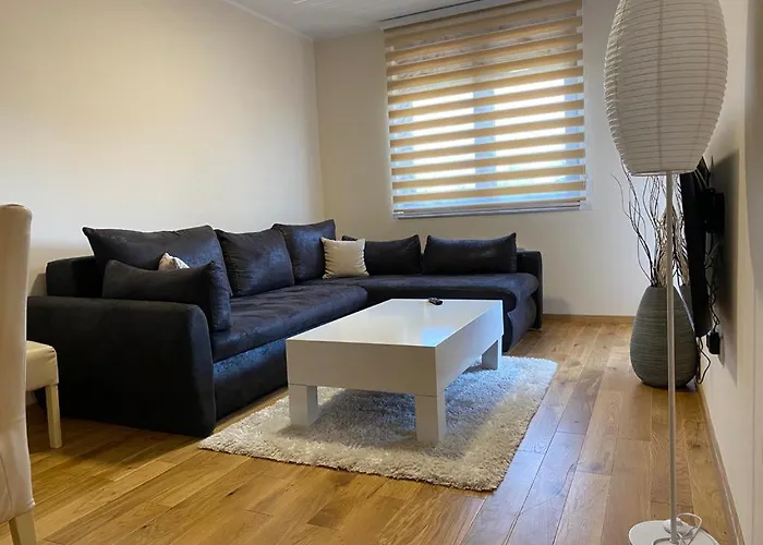 Suncokret 兹拉蒂博尔