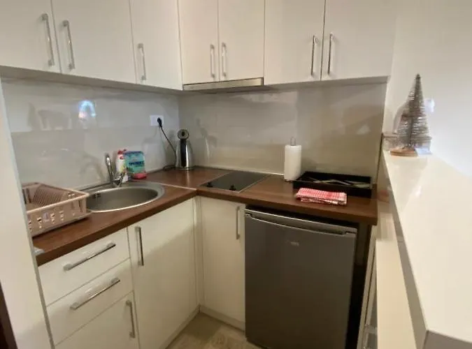 Suncokret * Zlatibor