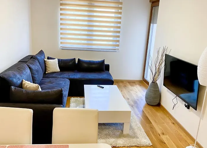 Suncokret 兹拉蒂博尔